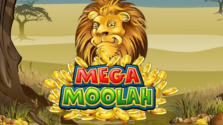 Mega Moolah Jackpot Winner