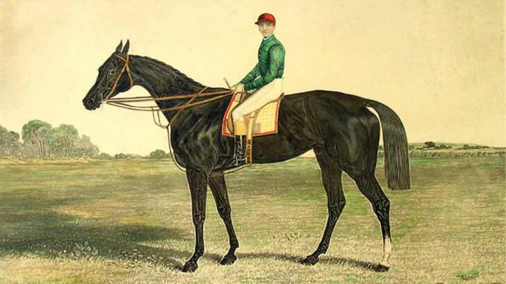 claim a racehorse