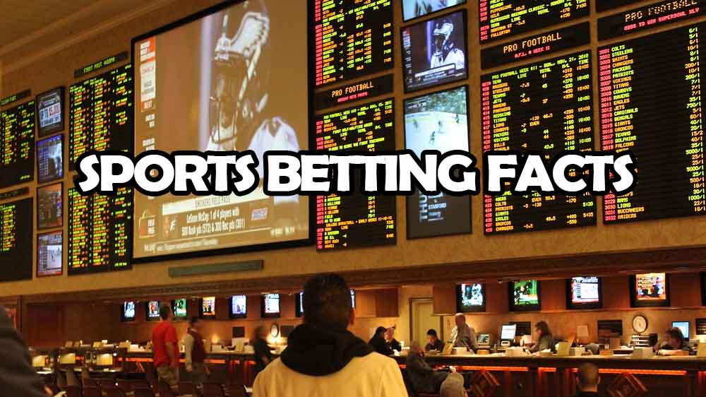 all about sports near me