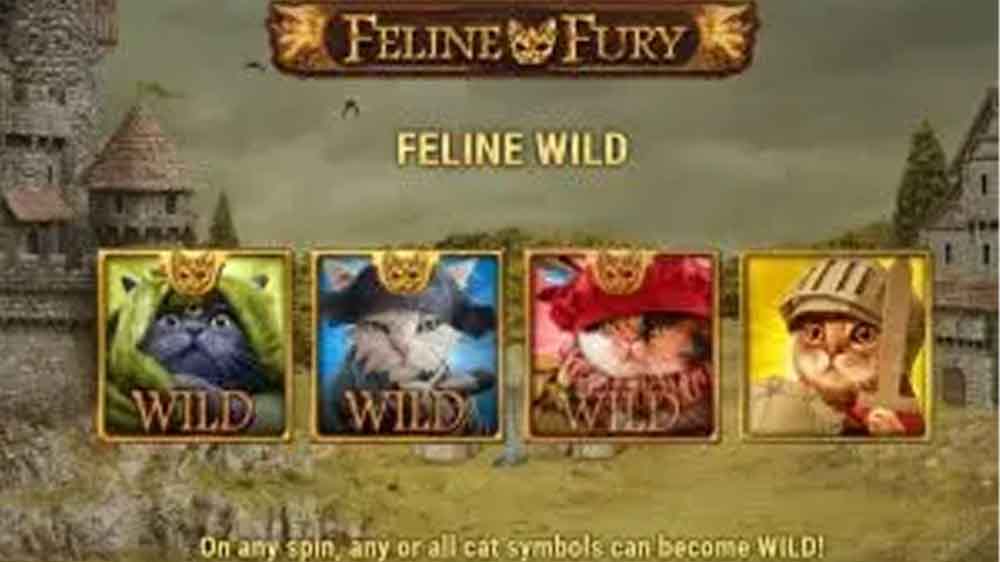 Feline Fury jackpot analysis