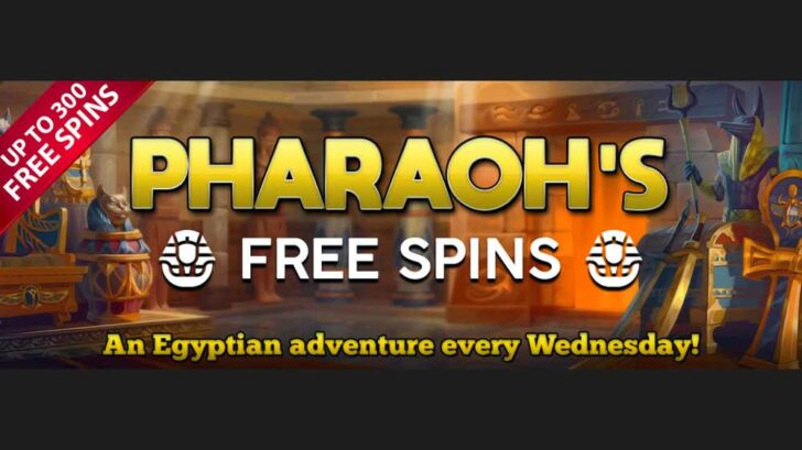 November Free Spins