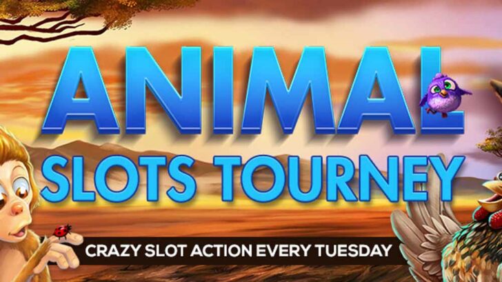 November Slots Tourney