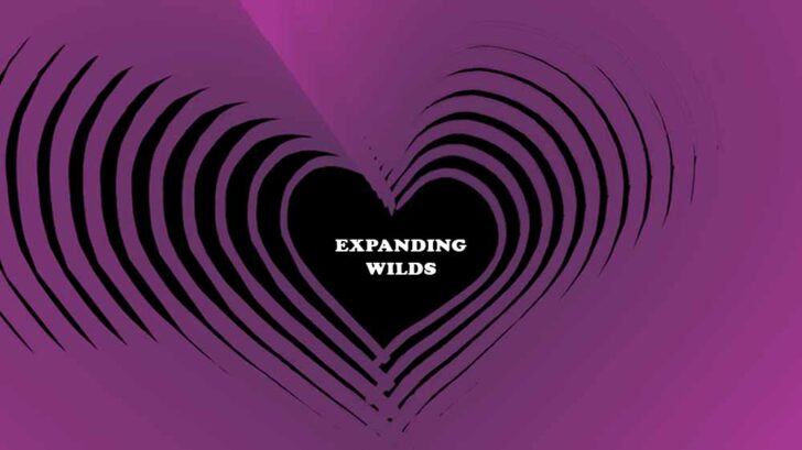 What are Expanding Wilds?