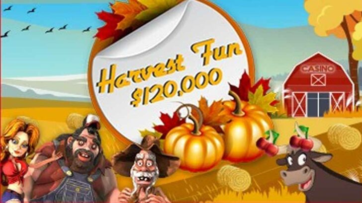 casino promo for Thanksgiving