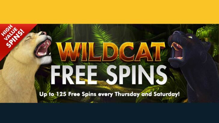 Win Free Spins in February