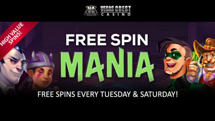 Free Spins Match Bonus