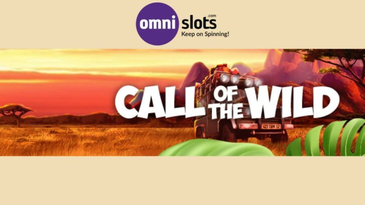Claim Your Bonus and Free Spins
