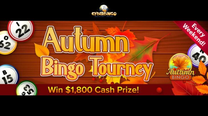 CyberBingo weekend bonuses