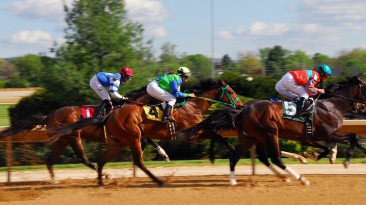 US horse races