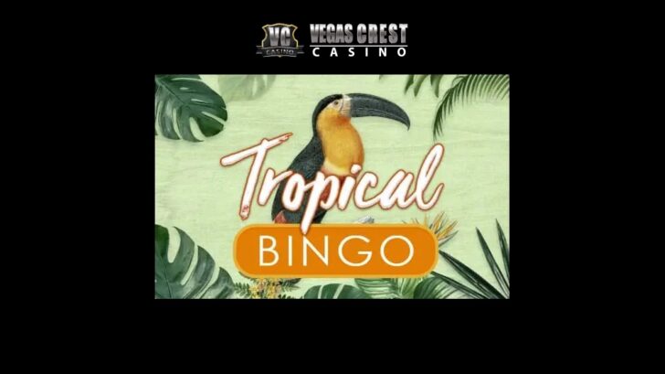 Join Tropical bingo room